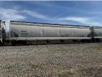 CPCX 814962